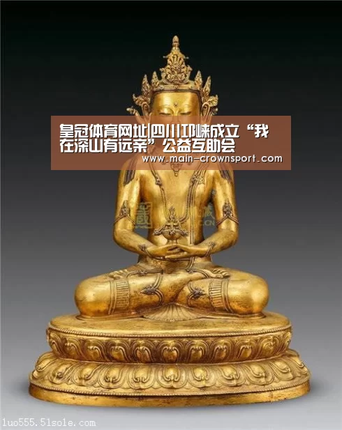 皇冠体育网址|四川邛崃成立“我在深山有远亲”公益互助会(图3) 皇冠体育直播