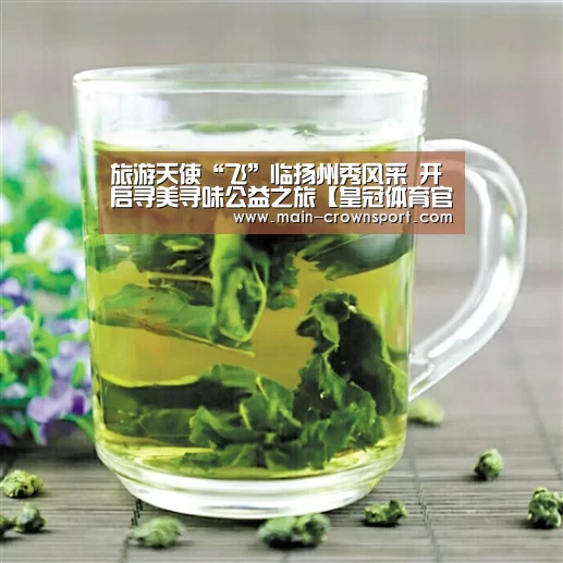 旅游天使“飞”临扬州秀风采 开启寻美寻味公益之旅【皇冠体育官网】(图1) 皇冠体育官网