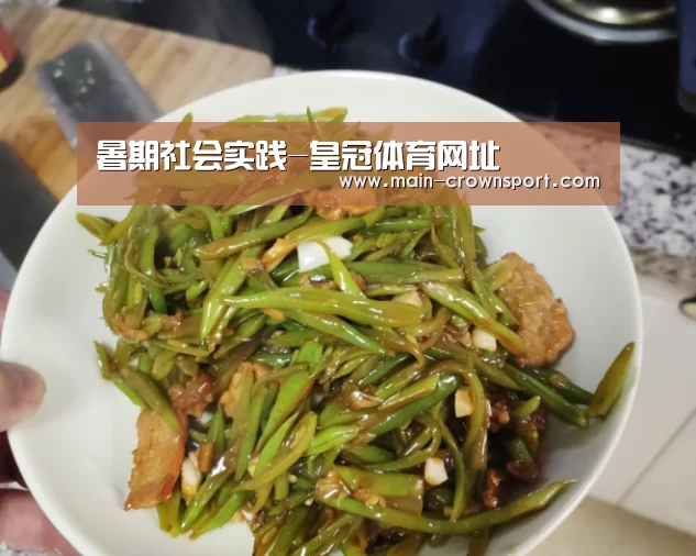 暑期社会实践-皇冠体育网址(图6) 皇冠体育官网
