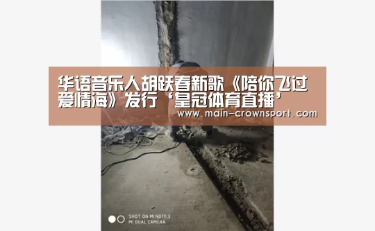 华语音乐人胡跃春新歌《陪你飞过爱情海》发行‘皇冠体育直播’(图2) 皇冠体育直播
