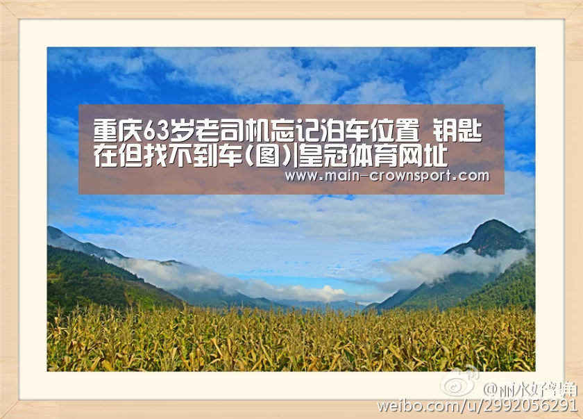 皇冠体育官网