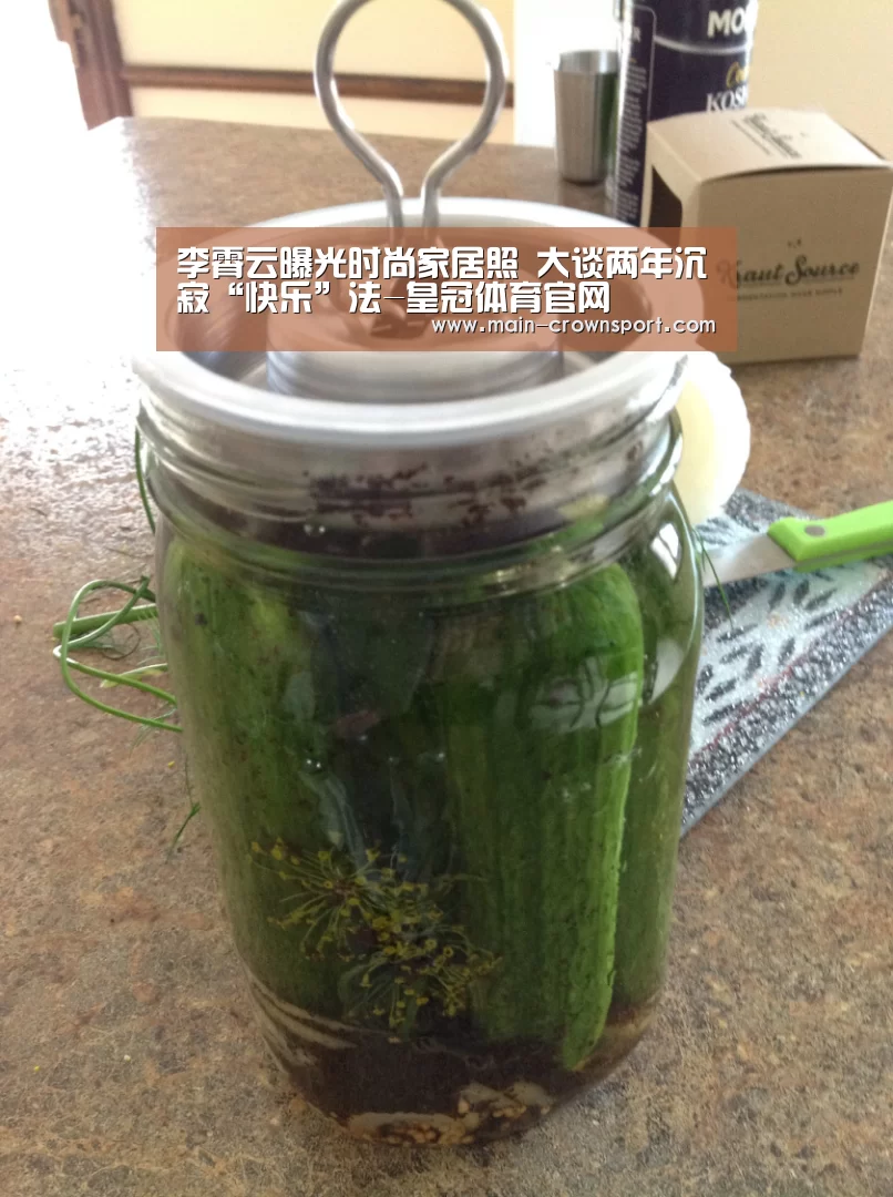李霄云曝光时尚家居照 大谈两年沉寂“快乐”法-皇冠体育官网(图1) 皇冠体育官网